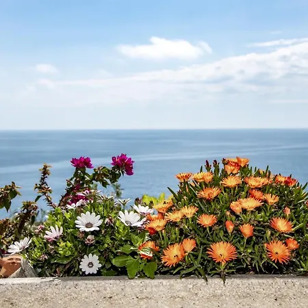 Guzman - Raphael * Benissa